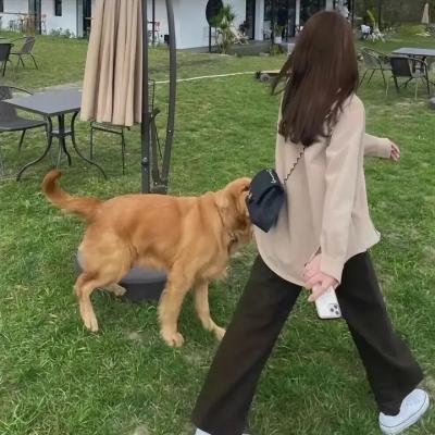 八极拳王